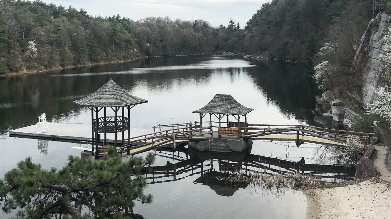 How We’re Trying to Support Our Immune System for Coronavirus Protection